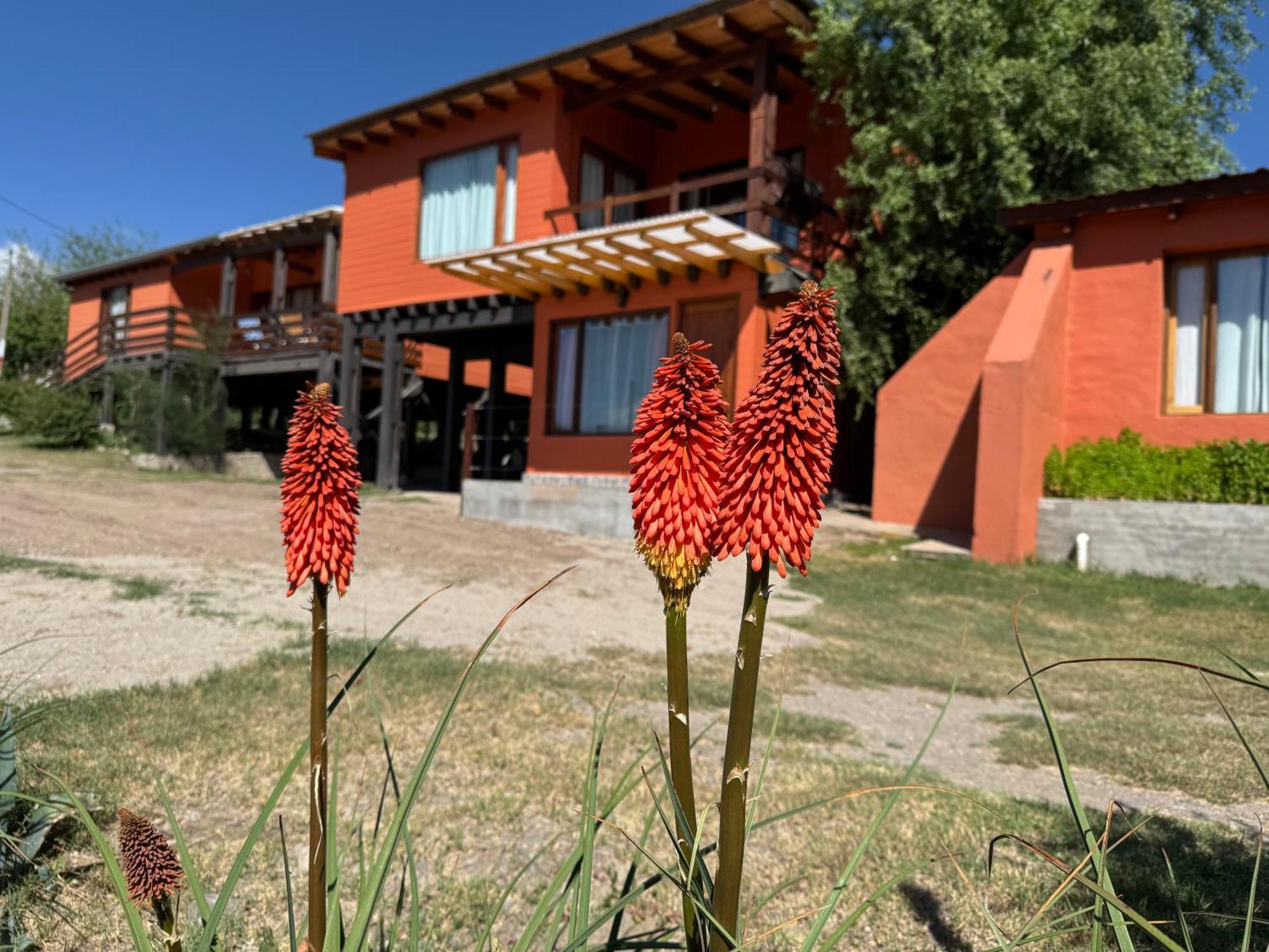 Cabana El Churqui Tafí del Valle Exteriér fotografie